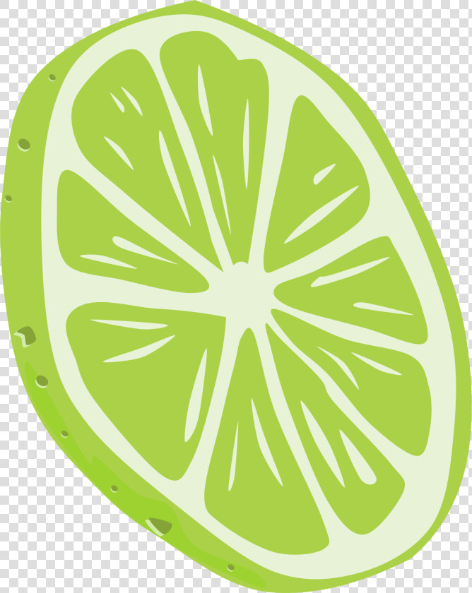 Transparent Lemon Slice Png   Lime Clip Art  Png DownloadTransparent PNG