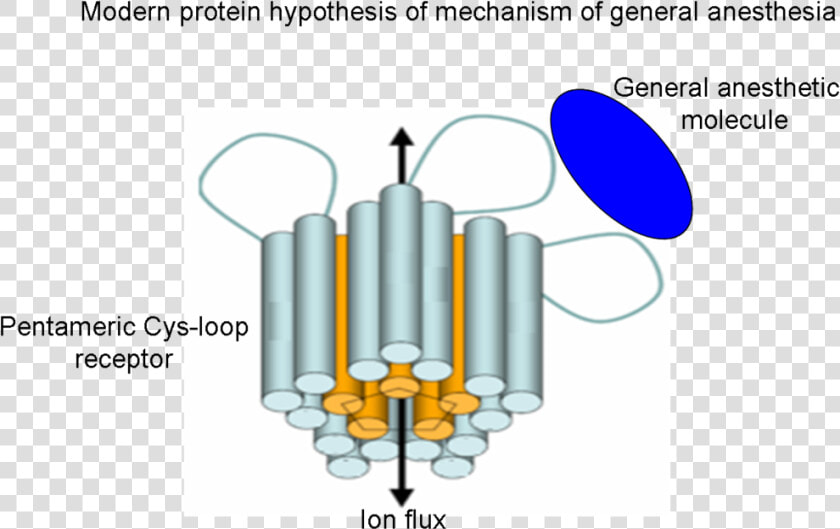 Modern Mechanism Of General Anesthesia  HD Png DownloadTransparent PNG