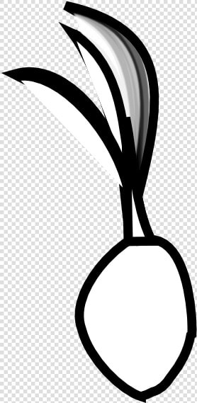 Seed Black And White Clipart   Coconut Seed Clipart  HD Png DownloadTransparent PNG
