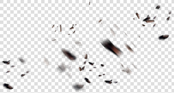 Macro Photography  HD Png DownloadTransparent PNG