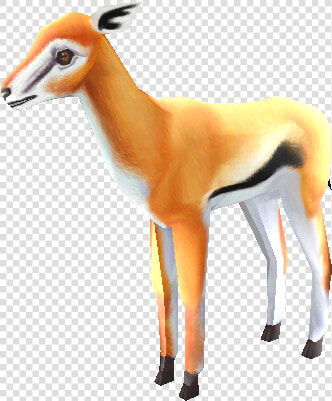 Download Zip Archive   Thomson  39 s Gazelle  HD Png DownloadTransparent PNG