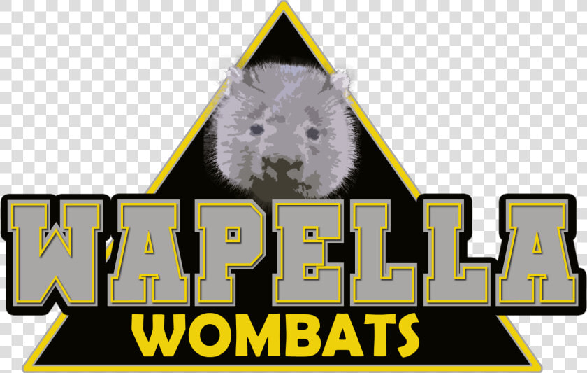 Hamster  HD Png DownloadTransparent PNG