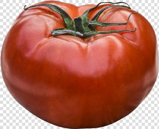 Dreaming Tomatoes  HD Png DownloadTransparent PNG