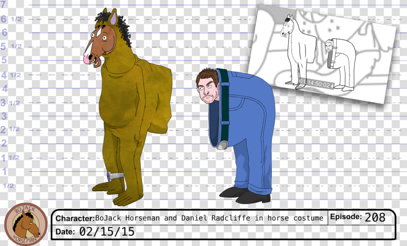 Bojack Horseman Model Sheet   Png Download   Bojack Horseman Horse Costume  Transparent PngTransparent PNG