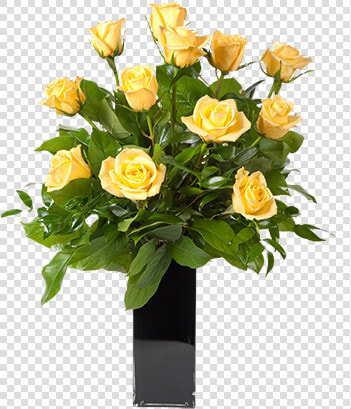 Floribunda  HD Png DownloadTransparent PNG