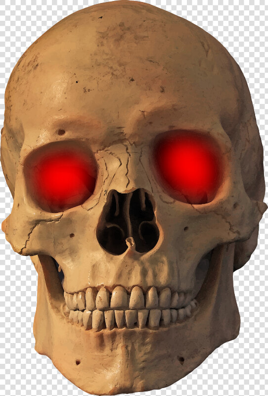 Jaw skull bone  HD Png DownloadTransparent PNG