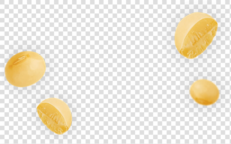 Soybean Png  Transparent PngTransparent PNG