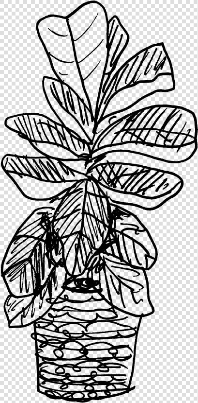 Fig Leaf Png  Transparent PngTransparent PNG