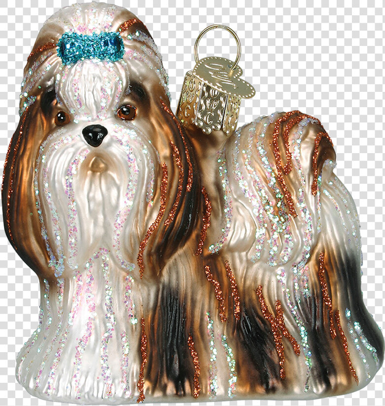 Shih Tzu  HD Png DownloadTransparent PNG