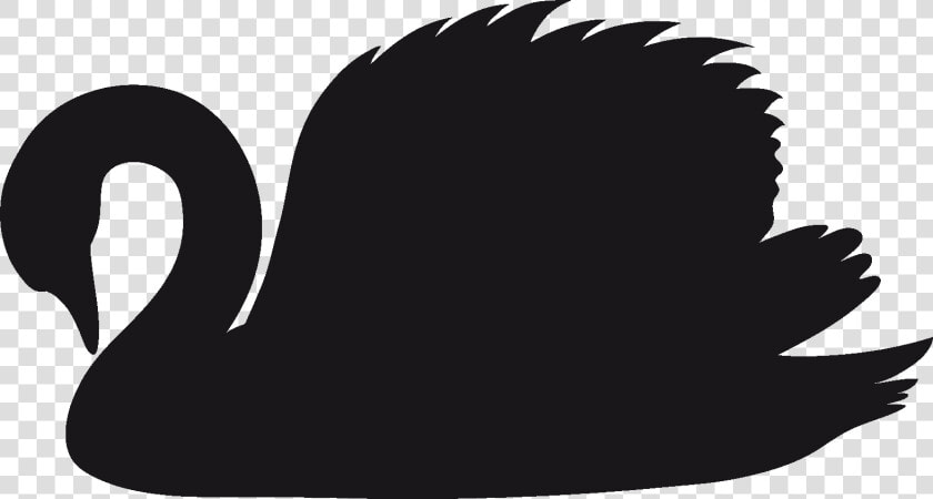 Grab And Download Swan Png Clipart   Black And White Swan Png  Transparent PngTransparent PNG