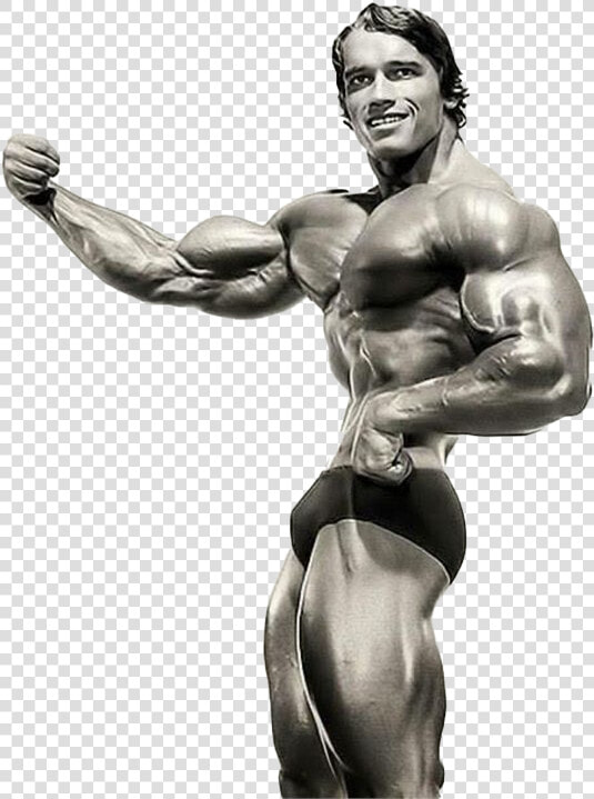 Arnold Schwarzenegger Bodybuilding Png Download Image   Arnold Schwarzenegger Bodybuilding Png  Transparent PngTransparent PNG