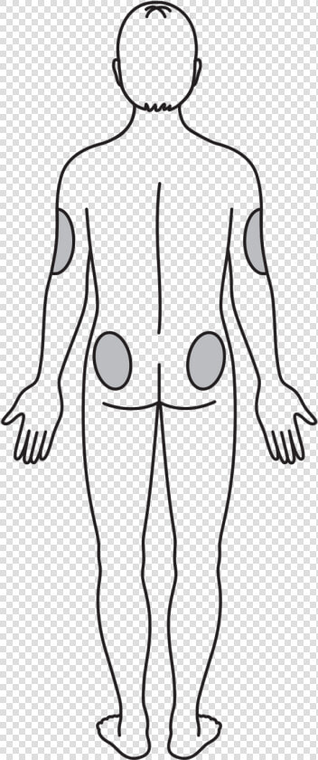 Back Side Appropriate Injection Sites   Line Art  HD Png DownloadTransparent PNG