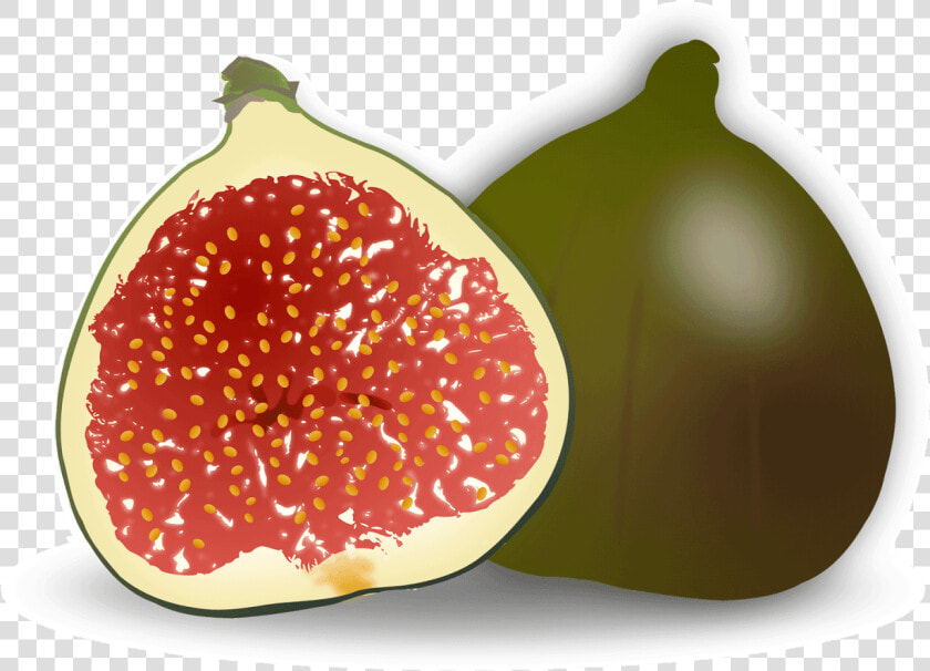 Clip Art Common Fig Accessory Fruit   Fig Clipart  HD Png DownloadTransparent PNG