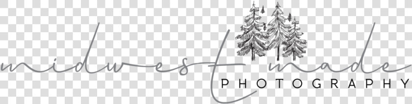 Midwest Made Photography  HD Png DownloadTransparent PNG