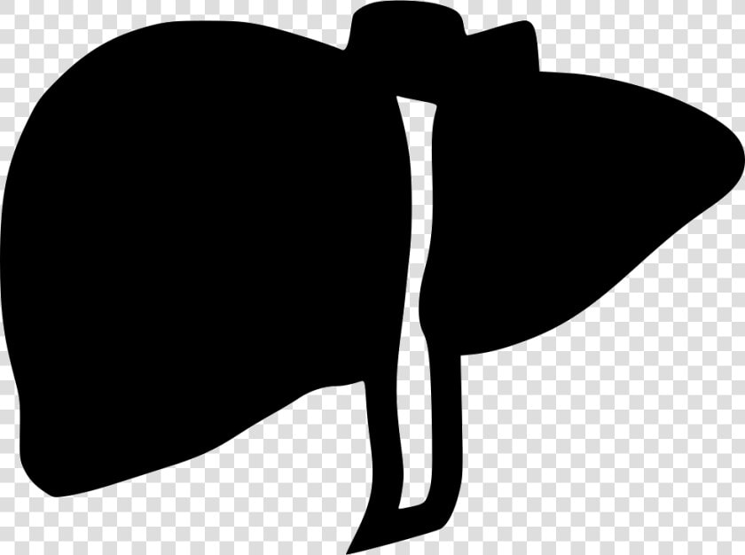Liver   Liver Icon Png  Transparent PngTransparent PNG