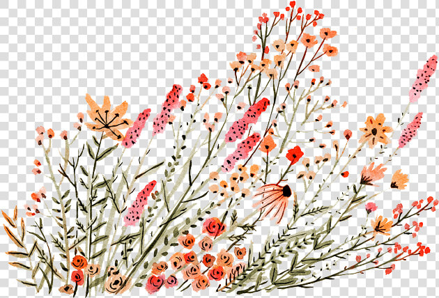 Dainty Flower Drawing Transparent  HD Png DownloadTransparent PNG