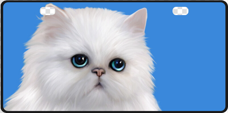 White Persian Cat License Plate   Kitten  HD Png DownloadTransparent PNG
