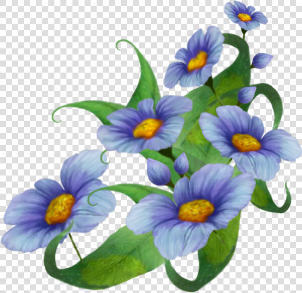 Morning glory   Transparent Morning Glory Png  Png DownloadTransparent PNG