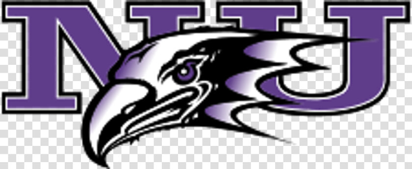 Niagara University Athletics  HD Png DownloadTransparent PNG
