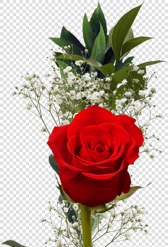 Single Red Rose With Greenery Valentine S Day Arrangements   Rose  HD Png DownloadTransparent PNG