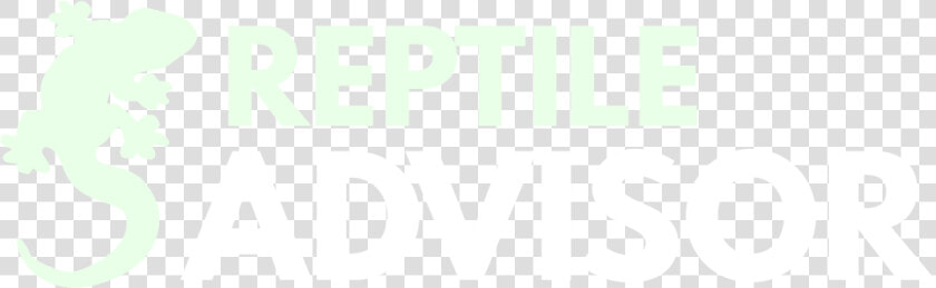 Reptile Advisor   Graphic Design  HD Png DownloadTransparent PNG