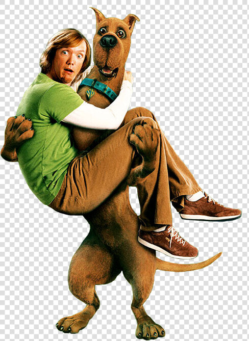 Transparent Scooby Doo Png   Scooby Doo Shaggy Movie  Png DownloadTransparent PNG