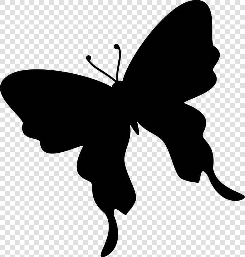 Butterfly Insect Silhouette Moth   Silueta Mariposa Sin Fondo  HD Png DownloadTransparent PNG