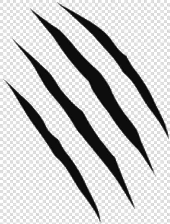 Scratches Cuts Injuries Claws Clawmarks   Claw Mark Transparent Background  HD Png DownloadTransparent PNG