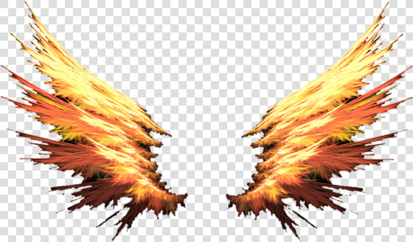 Fire Wings Red Orange Colorful Cute Badass Cool   Fire Wings Png  Transparent PngTransparent PNG