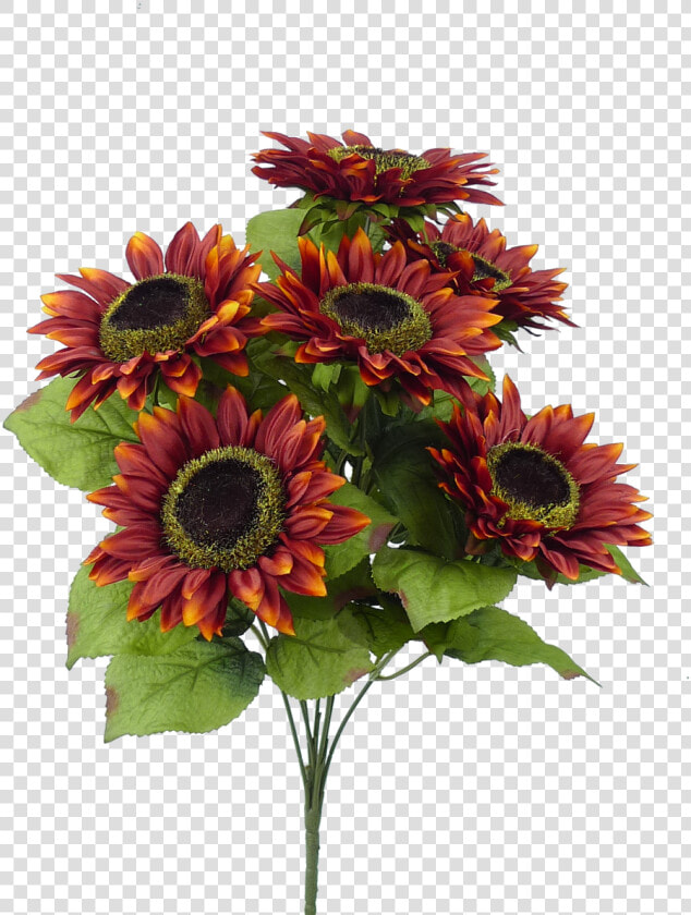 Burgundy  HD Png DownloadTransparent PNG