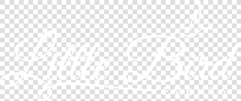 Logo white   Johns Hopkins Logo White  HD Png DownloadTransparent PNG