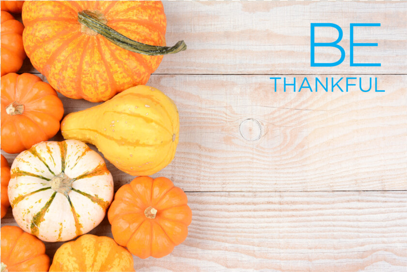 2019 08 12 Be Fall 2019 Promov1   Pumpkin  HD Png DownloadTransparent PNG
