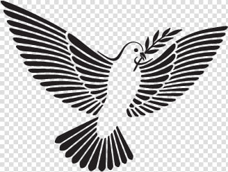 Svg Black And White Download Transparent Dove Olive   Dove With Branch Png Free  Png DownloadTransparent PNG