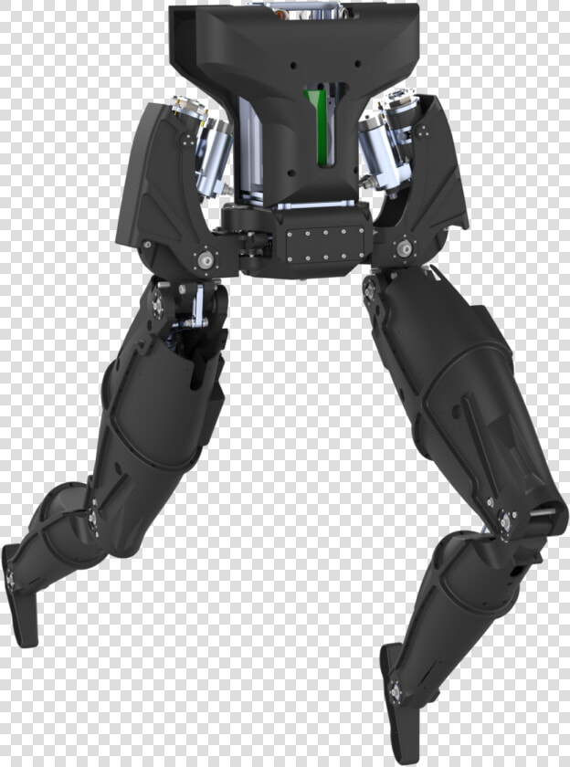 Draco Png  Transparent PngTransparent PNG
