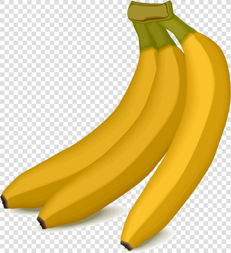 Bananas   Things That Start With The Letter B  HD Png DownloadTransparent PNG