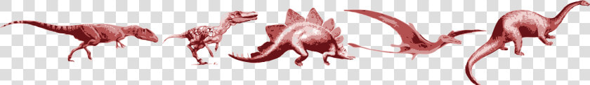 Carcharodontosaurus Saharicus  HD Png DownloadTransparent PNG