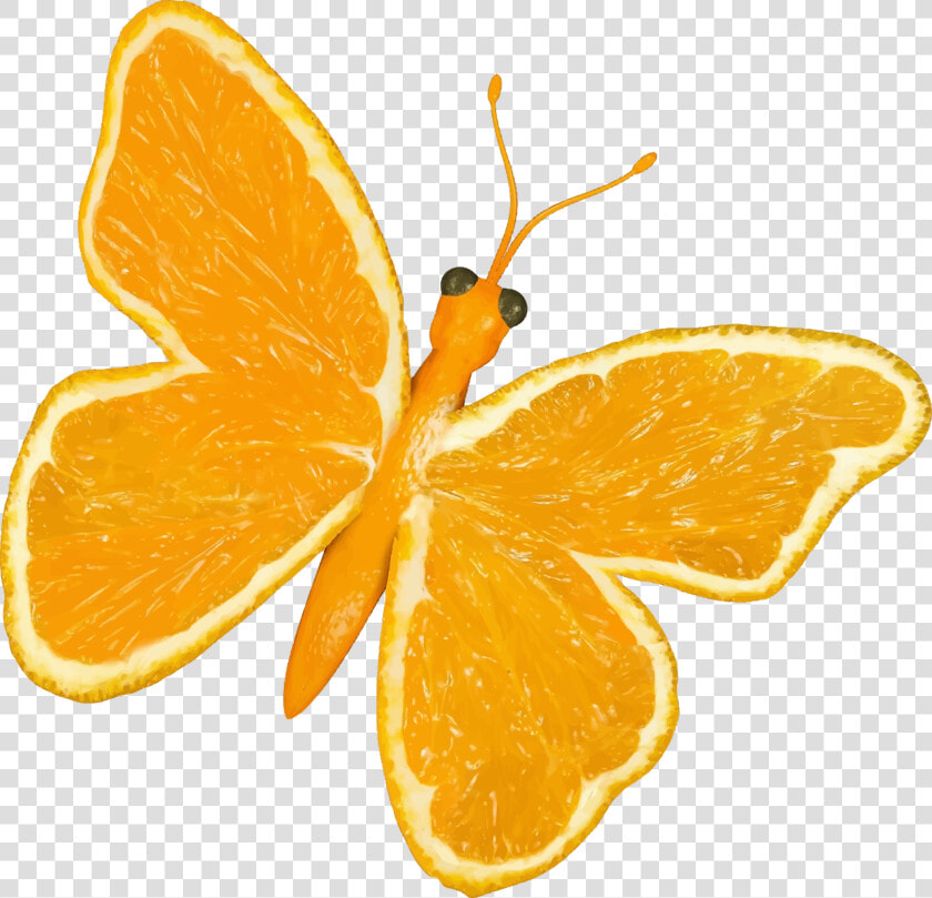 Citrus Fruit Butterfly Clip Arts   Yellow Butterfly Cartoon  HD Png DownloadTransparent PNG