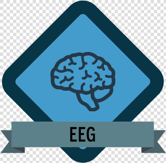 Badge Icon Brain   Brain Icon Transparent Png  Png DownloadTransparent PNG