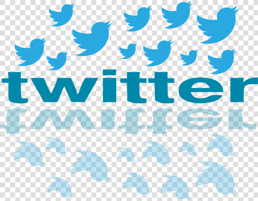 Recomendaciones Para Triunfar   Twitter Is Biased  HD Png DownloadTransparent PNG