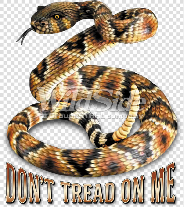 Don T Tread On Me  HD Png DownloadTransparent PNG