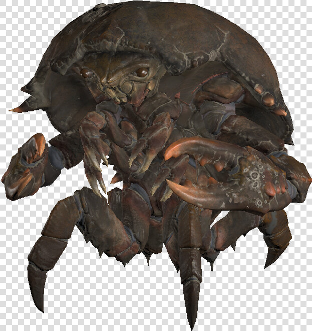 Encmirelurk01template   Fallout 4 Softshell Mirelurk  HD Png DownloadTransparent PNG