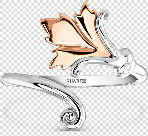 Joyas De La Colección Lady Cotton De Suárez   Titanium Ring  HD Png DownloadTransparent PNG