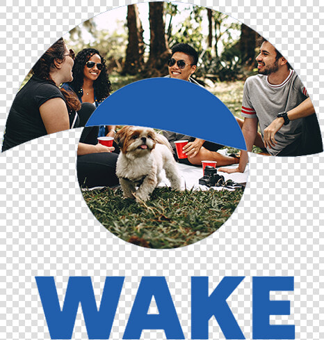 Extinction Rebellion Rebel For Life  HD Png DownloadTransparent PNG