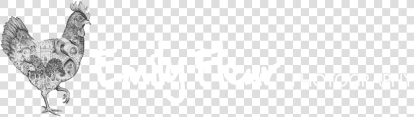 Devon Wedding Photographer   Pattern  HD Png DownloadTransparent PNG