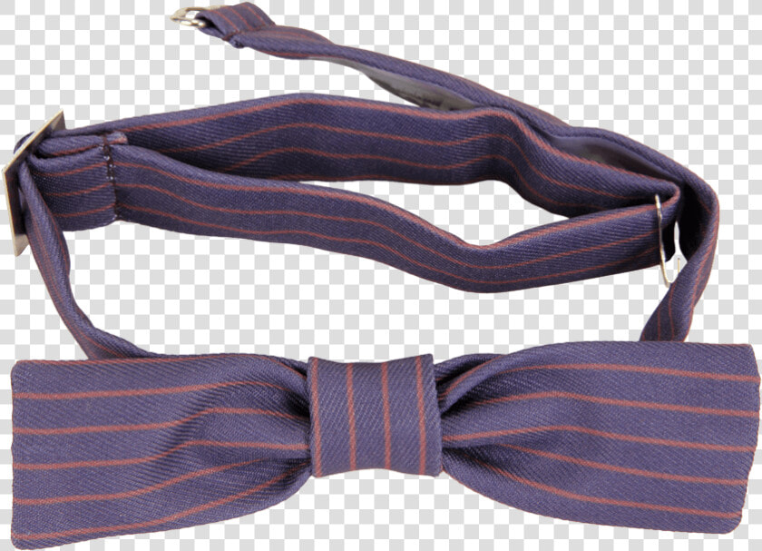 Fantastic Beasts Newt Scamander Bowtie   Fantastic Beasts And Where To Find Them  HD Png DownloadTransparent PNG