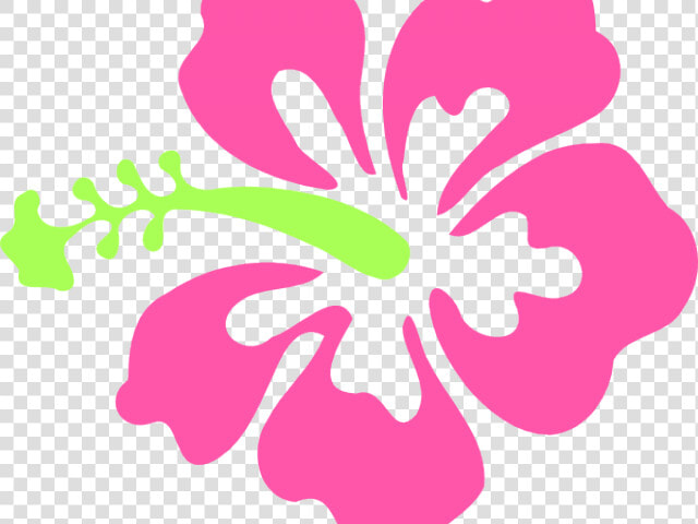 Cliparts Stargazer Lilly   Clipart Hibiscus Flower Png  Transparent PngTransparent PNG