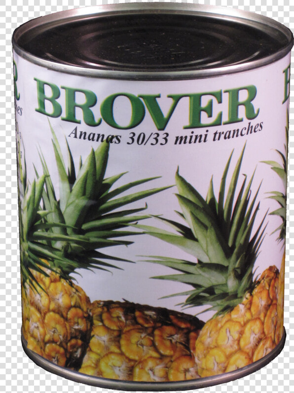 Transparent Pineapple Slices Png  Png DownloadTransparent PNG