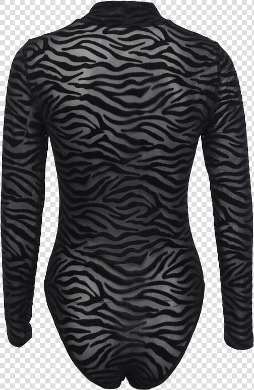 Zebra Print Mesh Bodysuit Class   Zebra  HD Png DownloadTransparent PNG