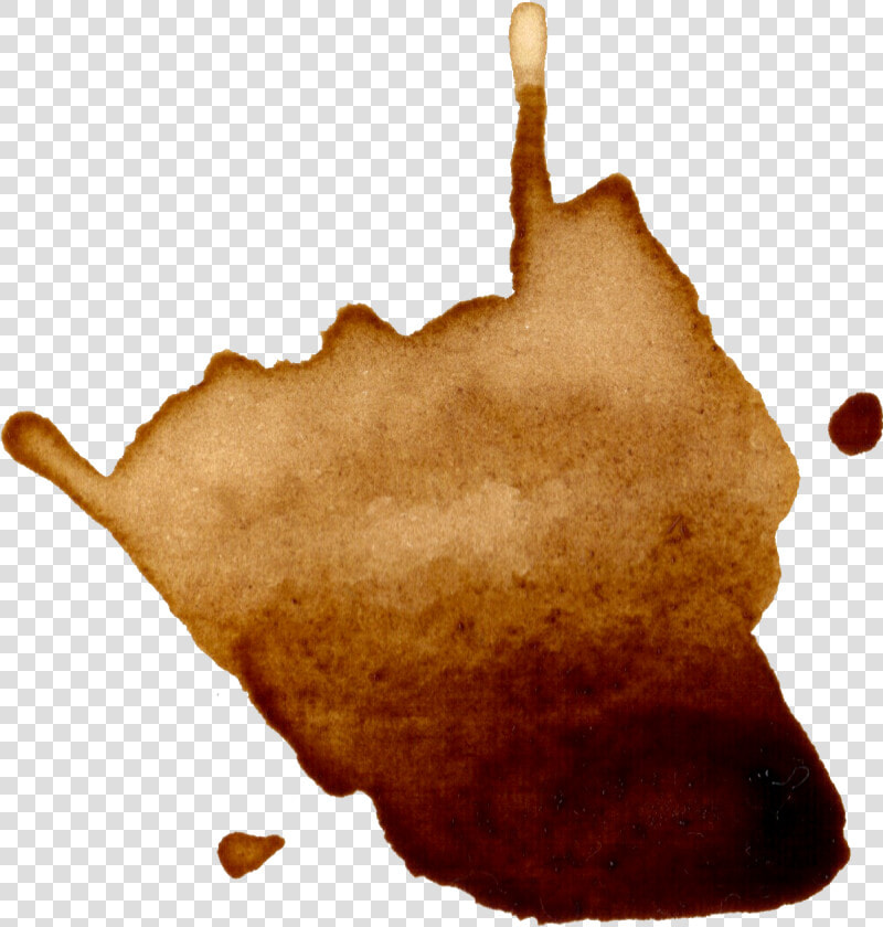 Coffee Splatter Transparent   Coffee Splatters Transparent  HD Png DownloadTransparent PNG