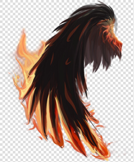  fire  wings  firewings  tumblr  edit  png  pngedit   Bird  Transparent PngTransparent PNG